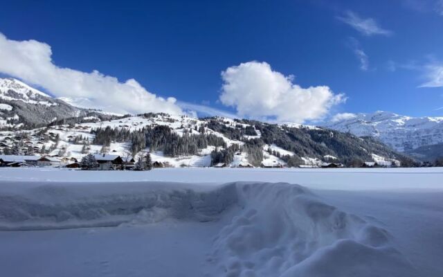 Apartment Lischenhaus 2 - Wohnung Flösch