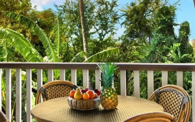 Waikomo Stream Villas