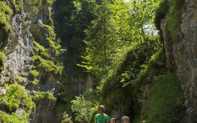 Prokosch, Ferienwohnung