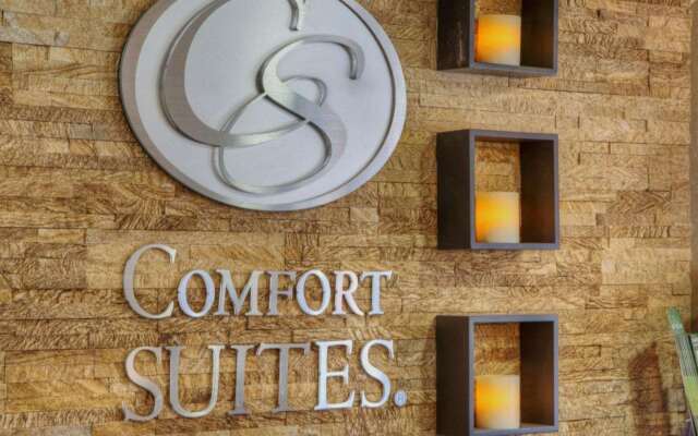 Comfort Suites Plymouth near US-30