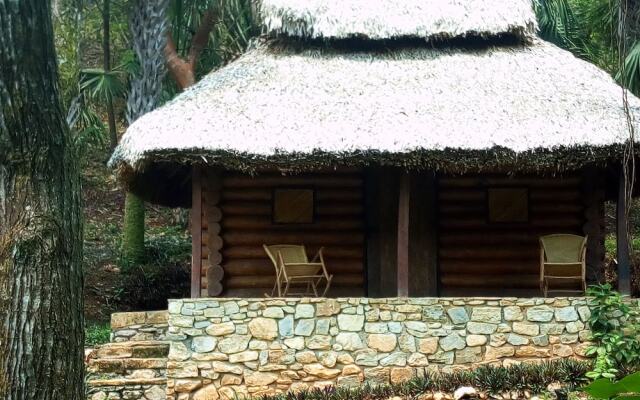 Room in Lodge - Sierraverde Cabin "cabaña el Cedro"