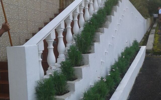 Bird's Nest Hotel