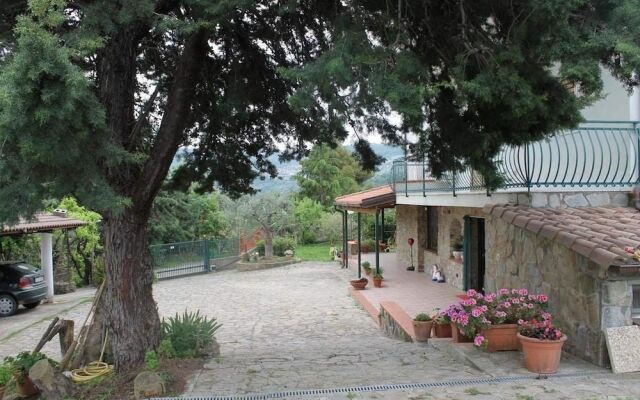 Bed & Breakfast Villa Flora