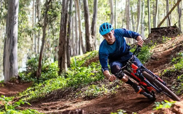 Granetal.quartier-apartment Bocksberg