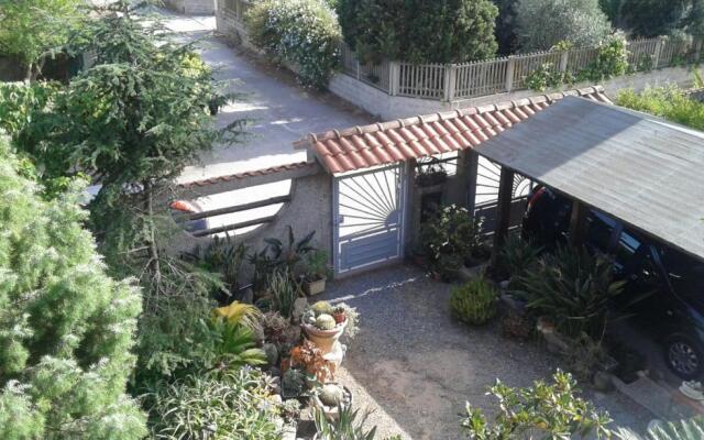 Home & Garden