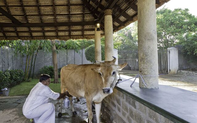 Halez Sparsa Thiruvannamalai