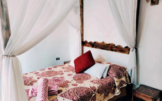 Natural Mystic Hostal