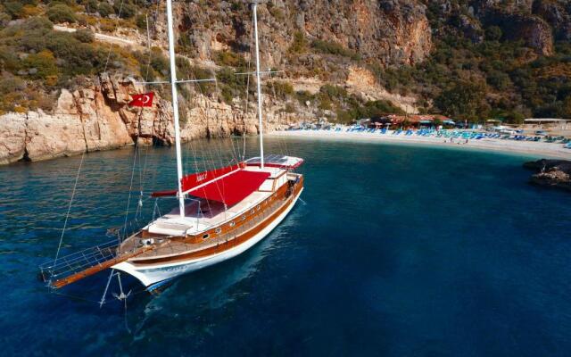 Blue Cruise
