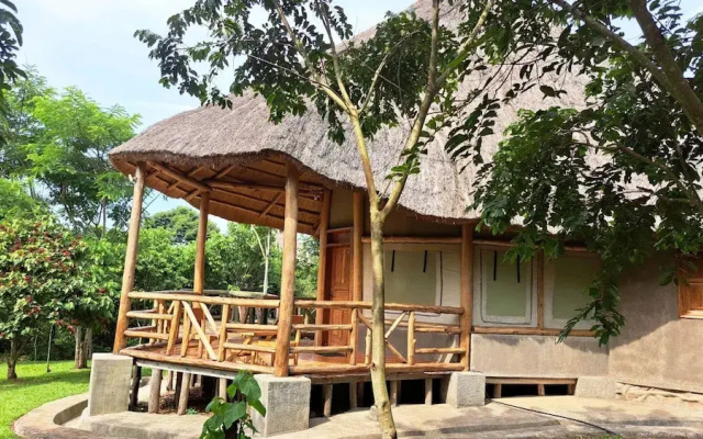 Kibale Canopy Lodge