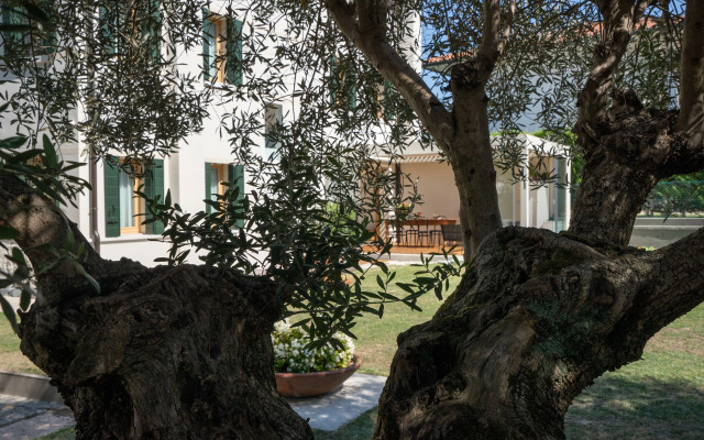 Bed and Breakfast Canalgrande