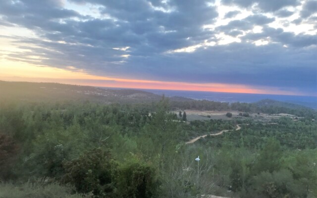 Dreams on the mount