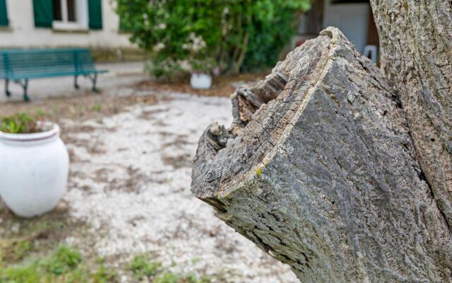 Beautiful Apartment in Mèze with Swimming Pool