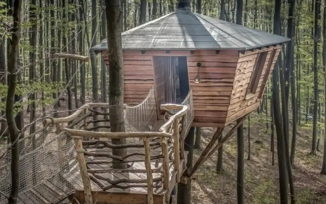 Robins Nest Baumhaushotel