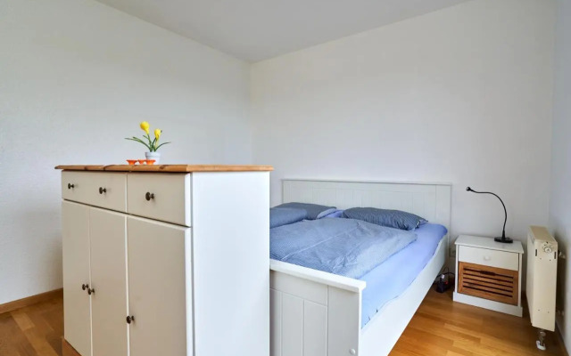 Apartment Sun Balcony Dresden Friedrichstadt