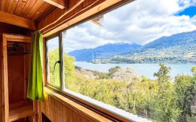 Patagonia Nativa