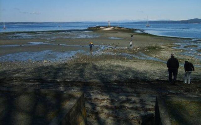 A Scented Garden Bed and Breakfast