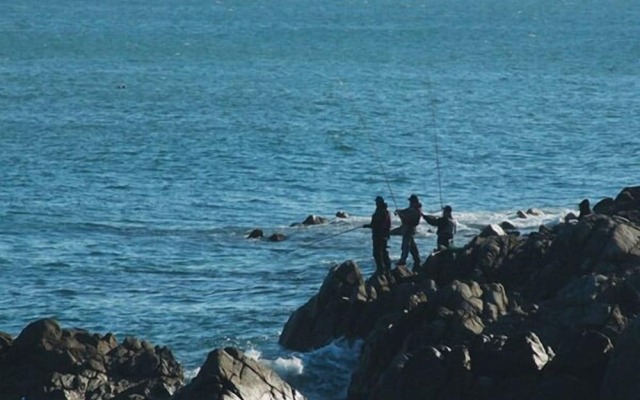 Ocean Bestvill