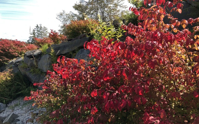 The Lake House Bed & Breakfast