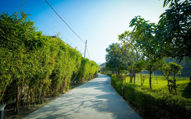 Mango Bloom River Resort