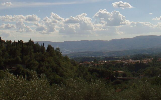 Organic Farmholiday In The Middle Of Olive Grove 1