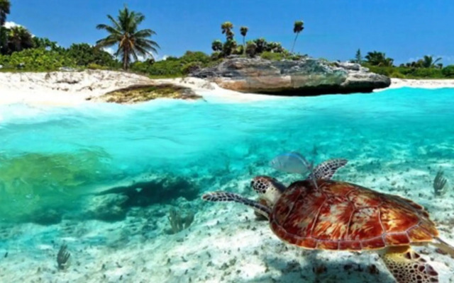 Baru Puerto Aventuras