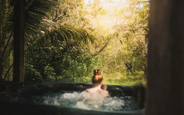 Palm Grove Rainforest Retreat