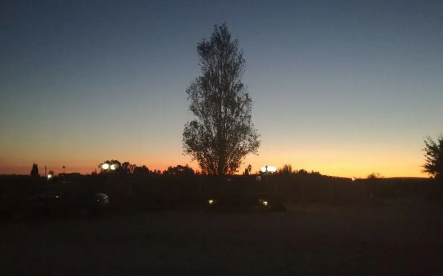 Villa Delle Palme Delfina