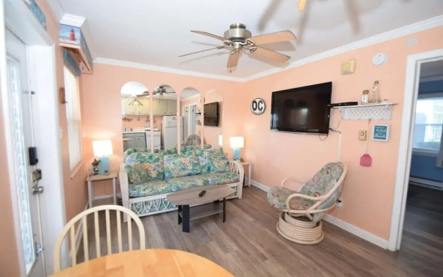Virginian 4 1 Bedroom Apts
