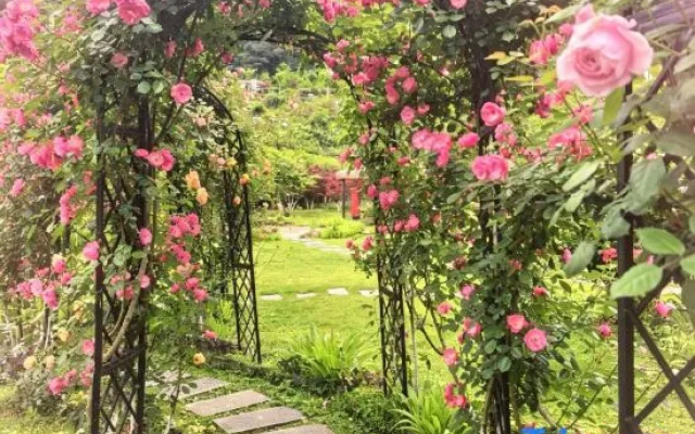 Qipan Yeshe Homestay (Zhangjiajie National Forest Park) – Outside – Zhangjiajie
