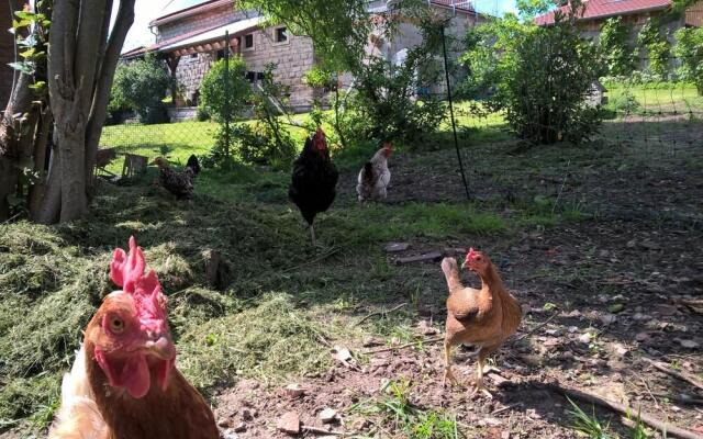 Pension Atelier Reinhart