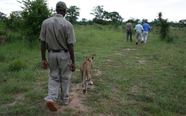 Thorntree River Lodge