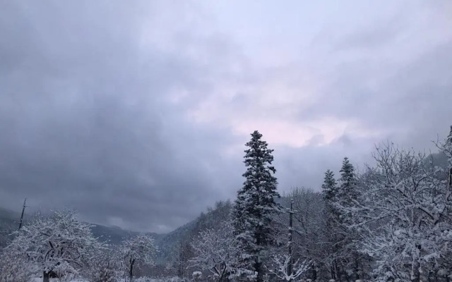 Karpatske Vidlunnya