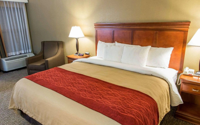 Comfort Inn Opelika - Auburn