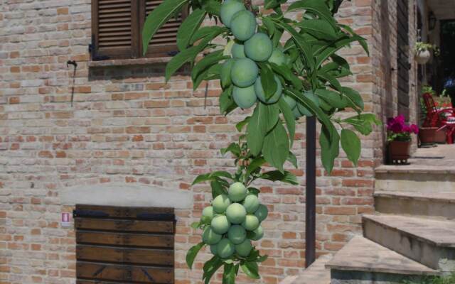 B&B Campogrande