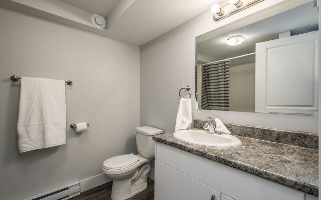Spacious DAL & Downtown Apartments