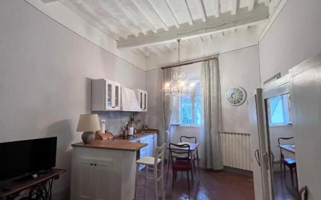 ArneBlanca Fucecchio Firenze