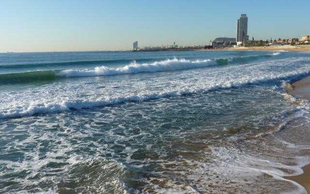 Tropical Terrace & Beach Bcn