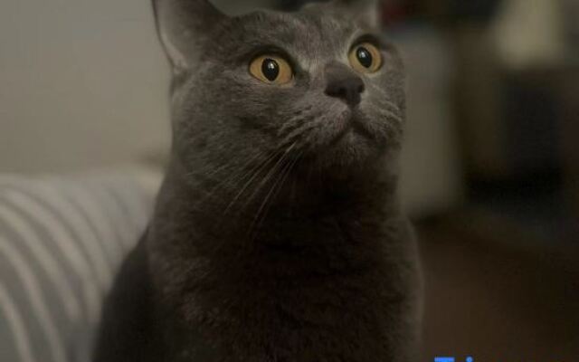 Xiaomi Apartment (Xiamen Gaoqi Airport)