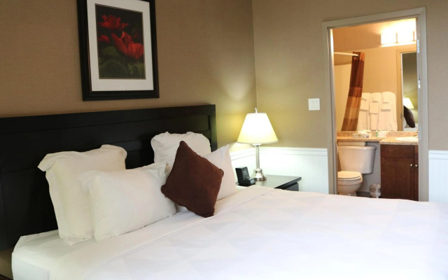 Nomad Hotel and Suites
