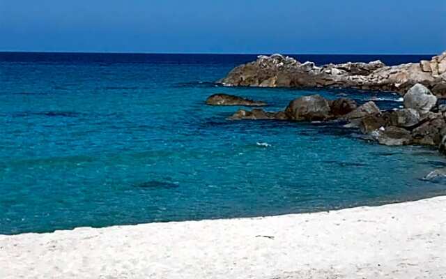 Au pied des oliviers