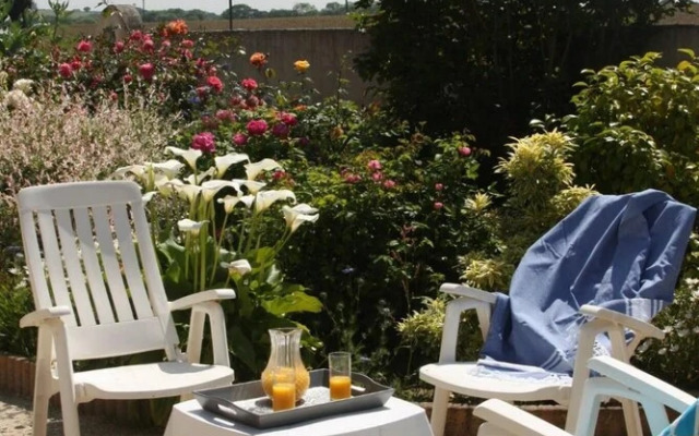 Chambres d'hôtes - Les Palmiers