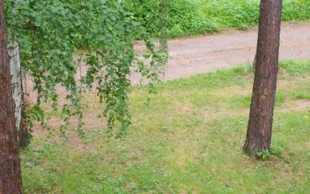 Комплекс Эдельвейс