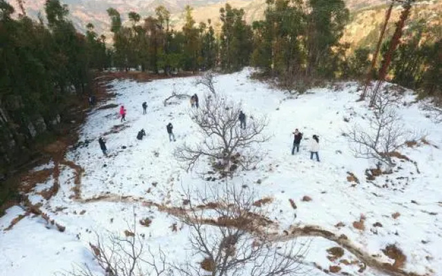 Stay Apart Wood Castle Resort