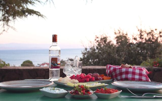 Assos Longevity Hotel