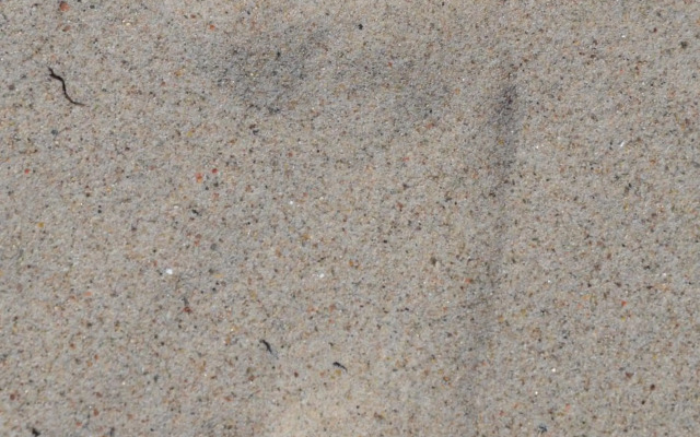 Strandvilla Waldhaus