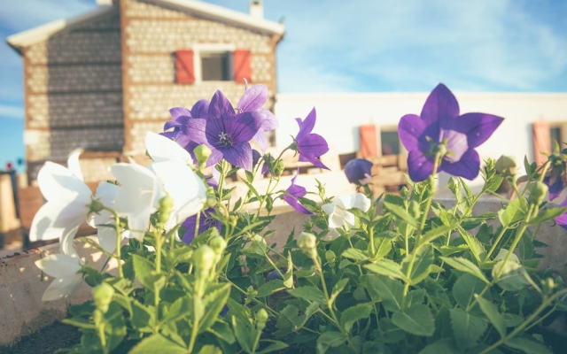 Masseria Piana della Macina