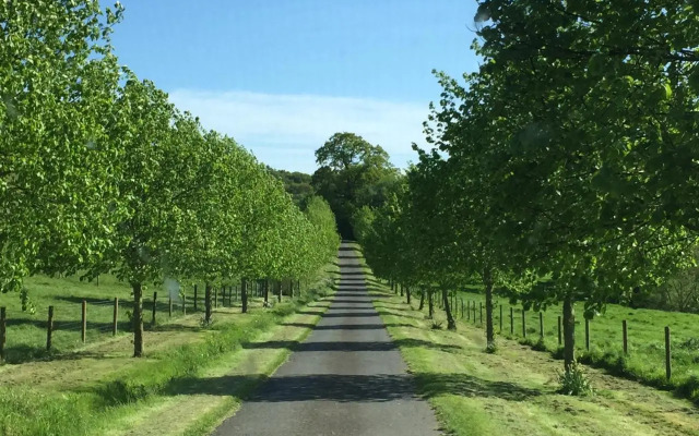 Worralls Grove Guest Farm House