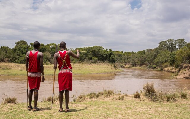 Hammerkop Migration Camp