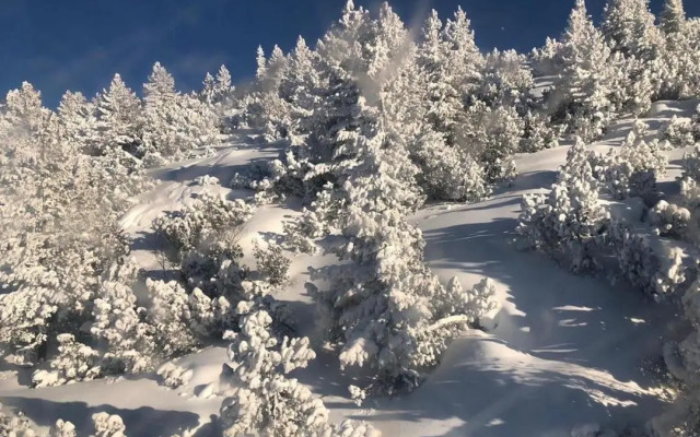 Flora Apartment 612A