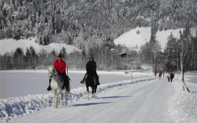 Komfortappartement Bergheim